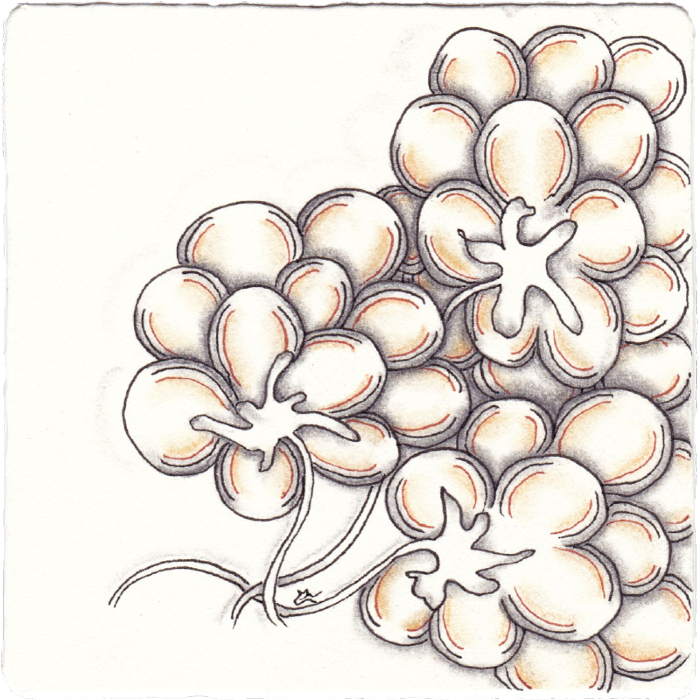 200821_Fluffy12.png