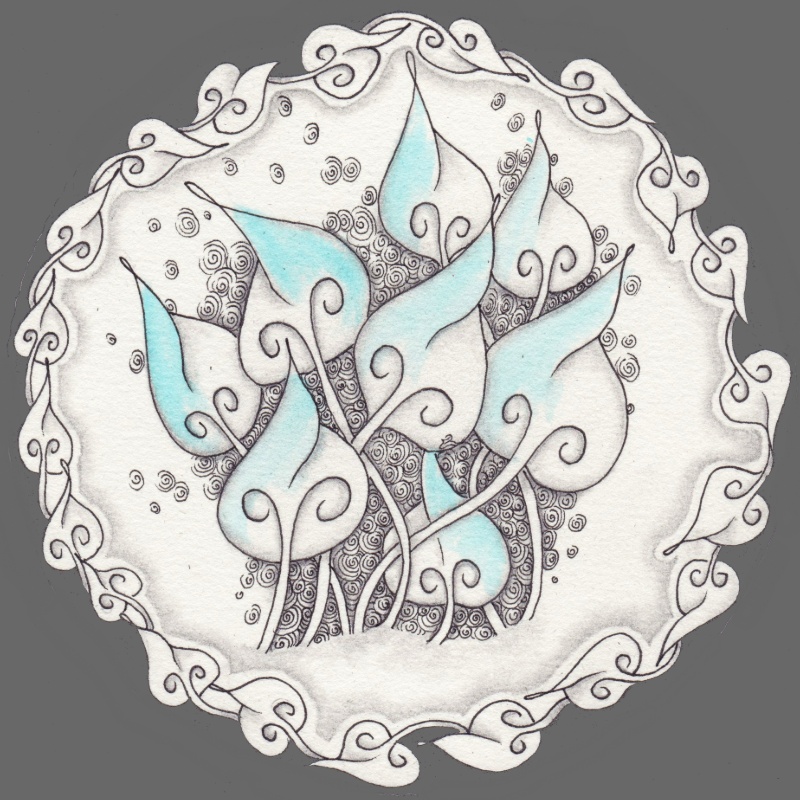 Drachsel 1 ETR