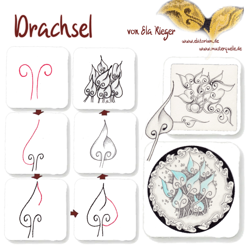 step drachsel ela rieger