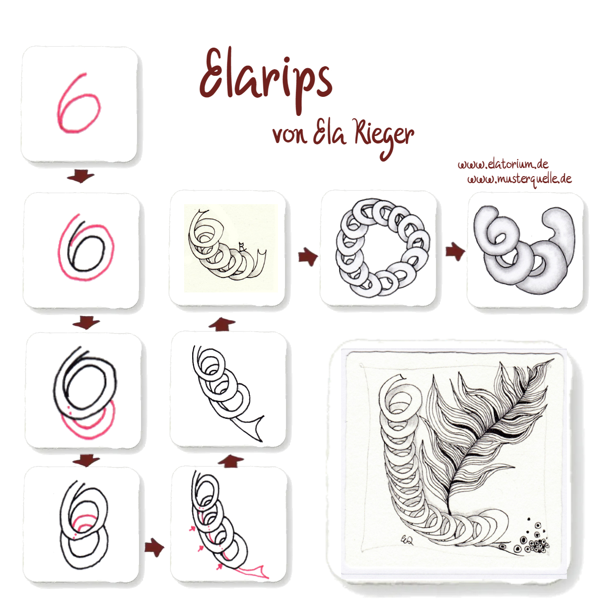 step elarips ela rieger