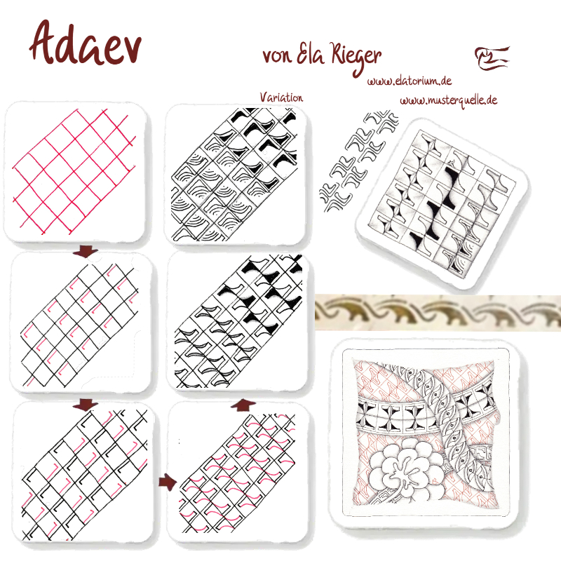 step adev ela rieger800