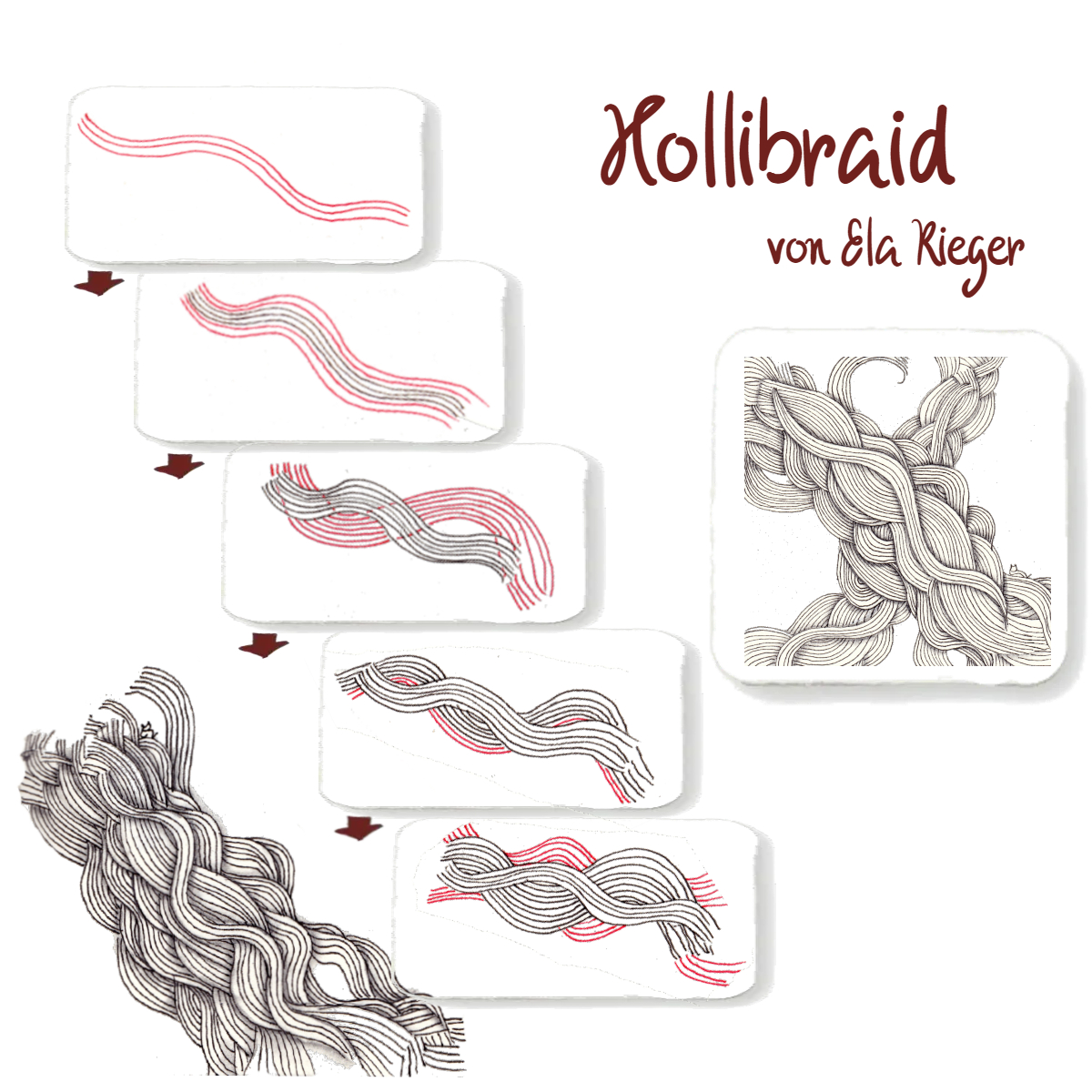 step hollibraid