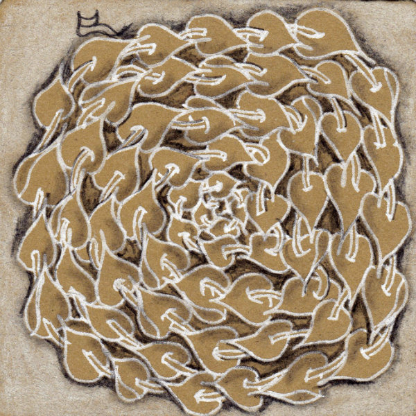 PP01POKELEAF ETR