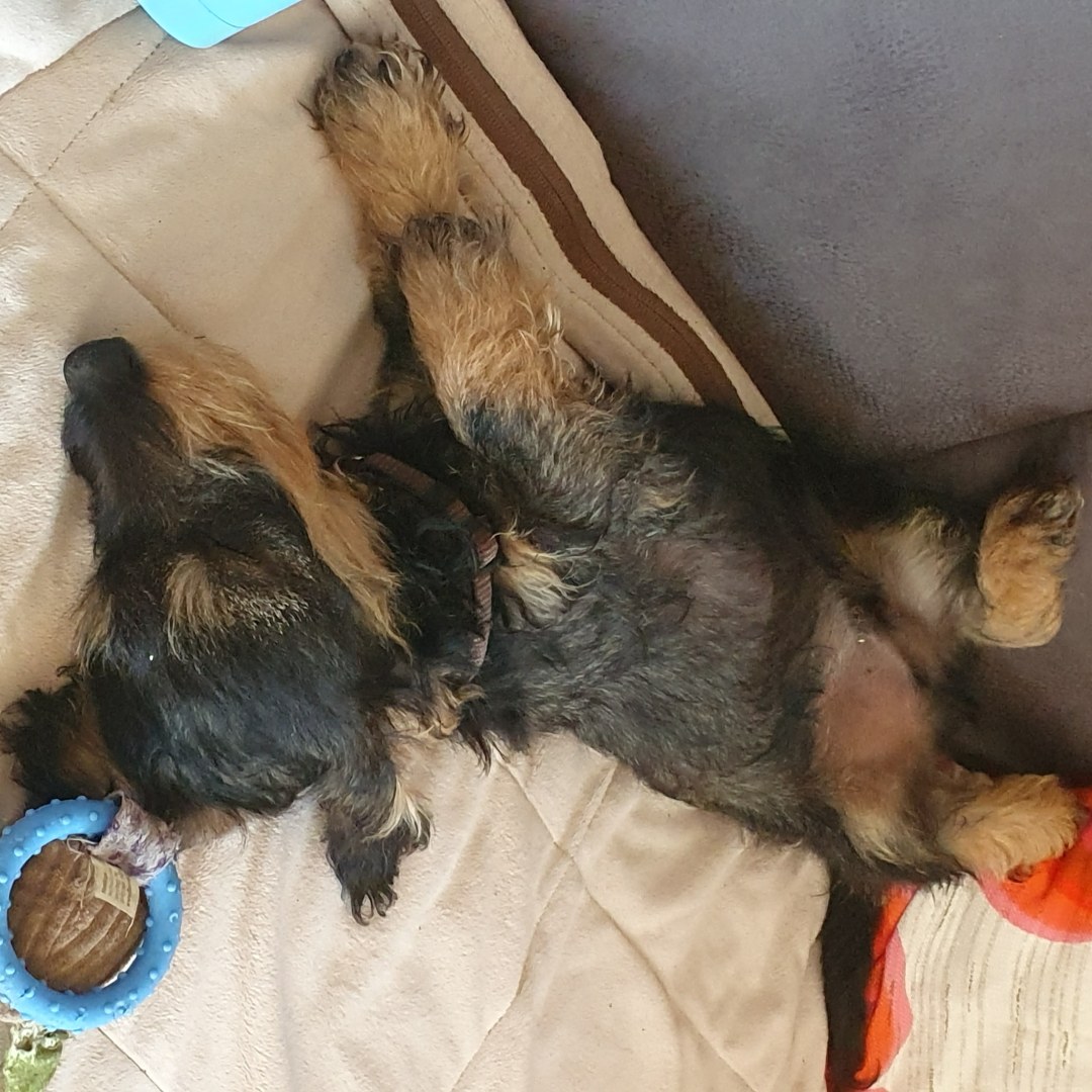 ostep wäsch ela rieger babo