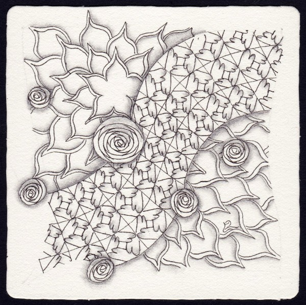 C241023 2558