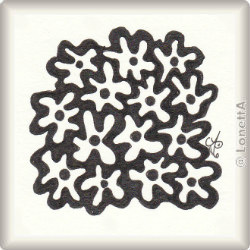 amoeba