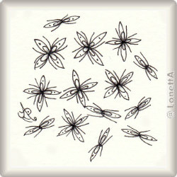 antz sara