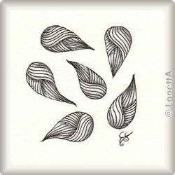 sheleaf