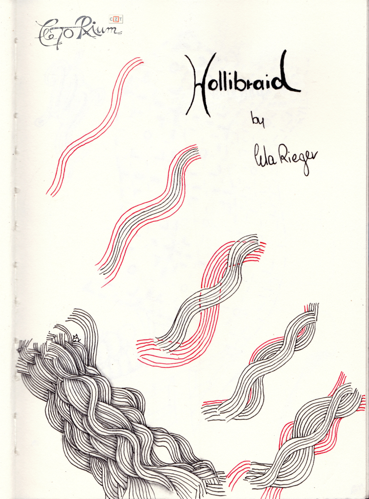 hollibraid stepETR